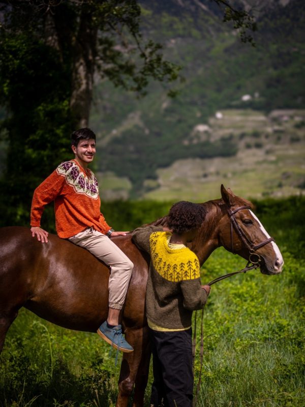 Gauche : Once and Floral de Maxim Cyr, droite : Oppland Skog Genseren de Karolina M. T.