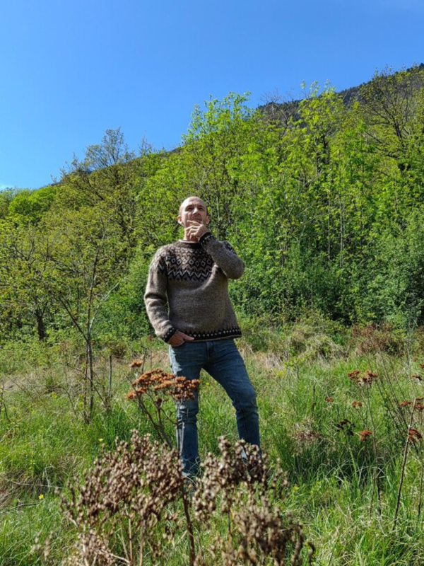 Riddari de Védís Jónsdóttir