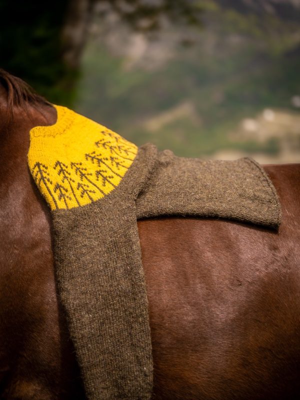 Oppland Skog Genseren de Karolina M. T.