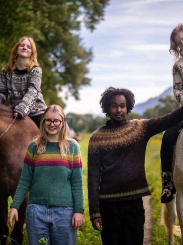 De gauche à droite : 1. Punk Sweater de Meret Buetzberger, adapté 2. No Frills de Petite Knit, adapté 3. Riddari de Védís Jónsdóttir 4. Modèle librement inspiré d’un pull du personnage Sarah Lund dans la série danoise The Killing