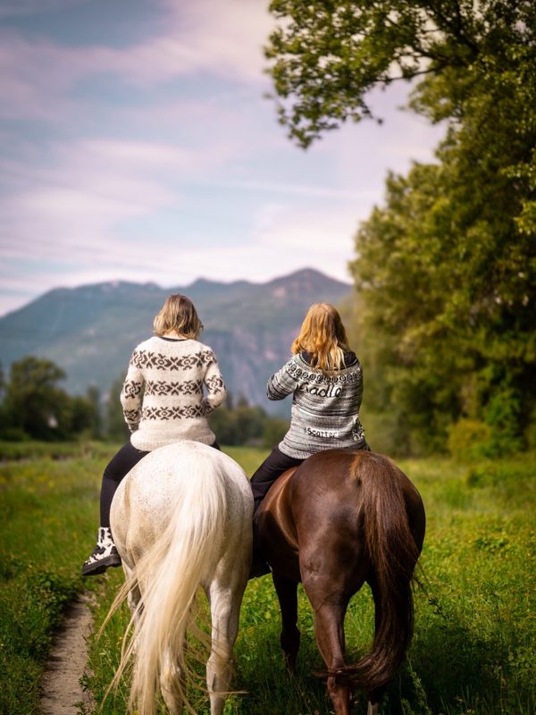Gauche : Modèle librement inspiré d’un pull du personnage Sarah Lund dans la série danoise The Killing, droite : Punk Sweater de Meret Buetzberger, adapté