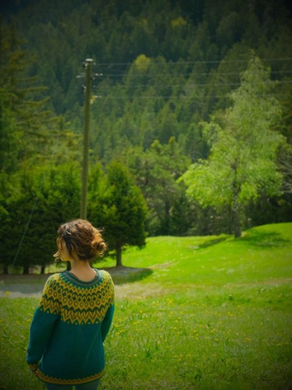 Riddari de Védís Jónsdóttir