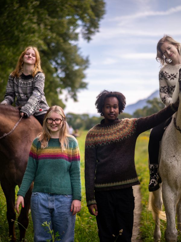 De gauche à droite : 1. Punk Sweater de Meret Buetzberger, adapté 2. No Frills de Petite Knit, adapté 3. Riddari de Védís Jónsdóttir 4. Modèle librement inspiré d’un pull du personnage Sarah Lund dans la série danoise The Killing